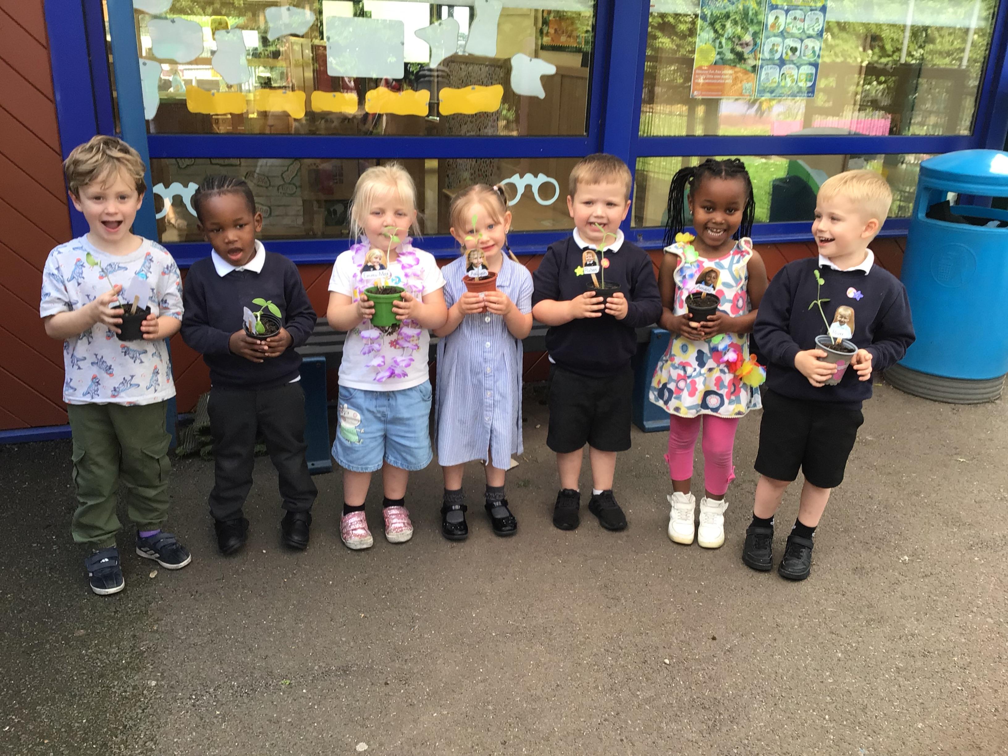 Our Sunflowers are ready to go home